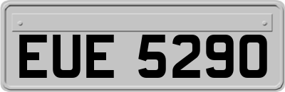 EUE5290