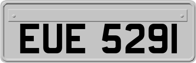 EUE5291