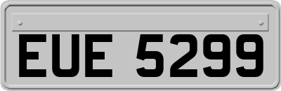 EUE5299