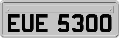 EUE5300