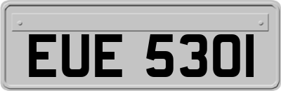 EUE5301
