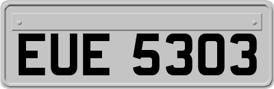 EUE5303