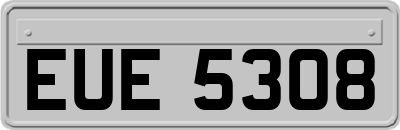EUE5308