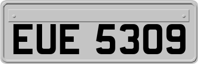 EUE5309