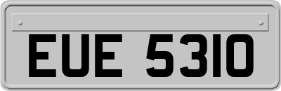 EUE5310