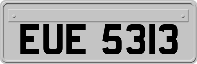 EUE5313