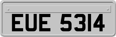 EUE5314