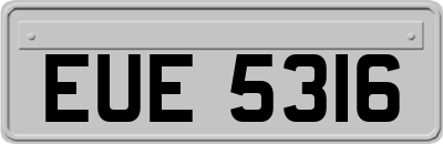 EUE5316