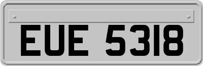 EUE5318