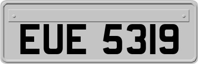 EUE5319
