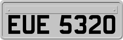 EUE5320