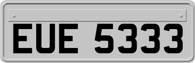 EUE5333