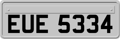 EUE5334