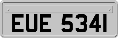 EUE5341