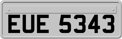 EUE5343