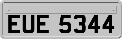 EUE5344
