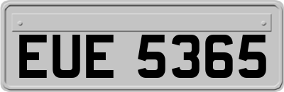 EUE5365