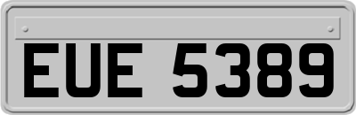 EUE5389