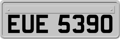 EUE5390