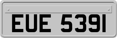 EUE5391