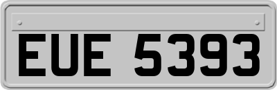 EUE5393