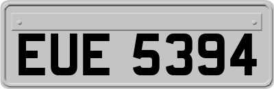 EUE5394