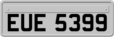 EUE5399
