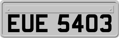 EUE5403