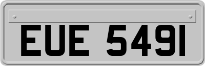 EUE5491