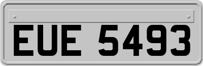 EUE5493