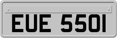 EUE5501