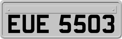 EUE5503