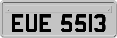 EUE5513