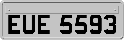 EUE5593