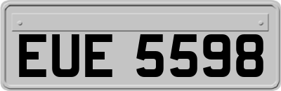 EUE5598