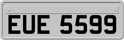 EUE5599