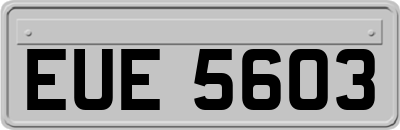 EUE5603
