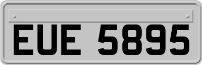 EUE5895