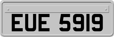 EUE5919