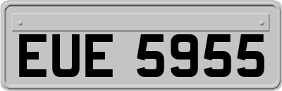 EUE5955