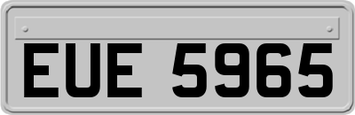 EUE5965