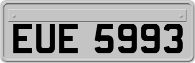 EUE5993
