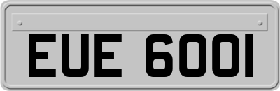 EUE6001