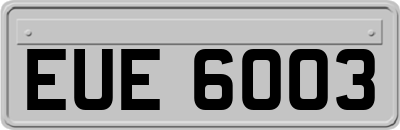 EUE6003