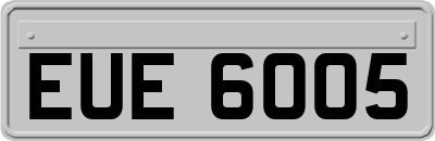 EUE6005