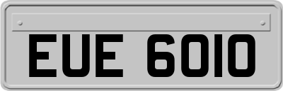 EUE6010