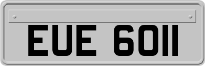 EUE6011