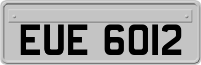 EUE6012