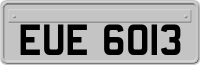 EUE6013