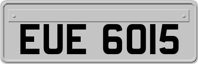 EUE6015